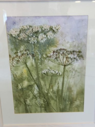 Sheila H, Summer Hogweed.